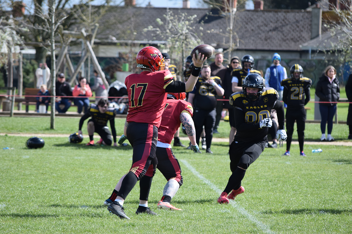 Vipers in action