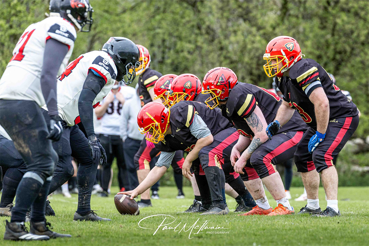 Vipers in action